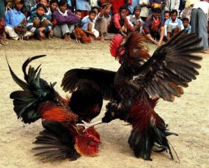 768x343_Vie (1)đứa