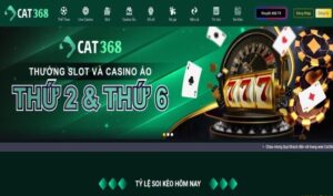 review-nha-cai-cat368-slot-nhiet-tinh-cskh